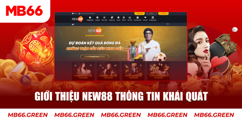 pg1 c1 gà chọi