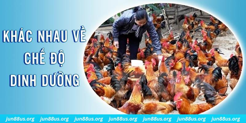 pg1 đăng nhập roulette hôm nay