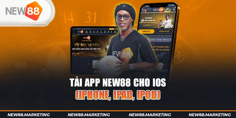 pg1 gà chọi cậu thanh