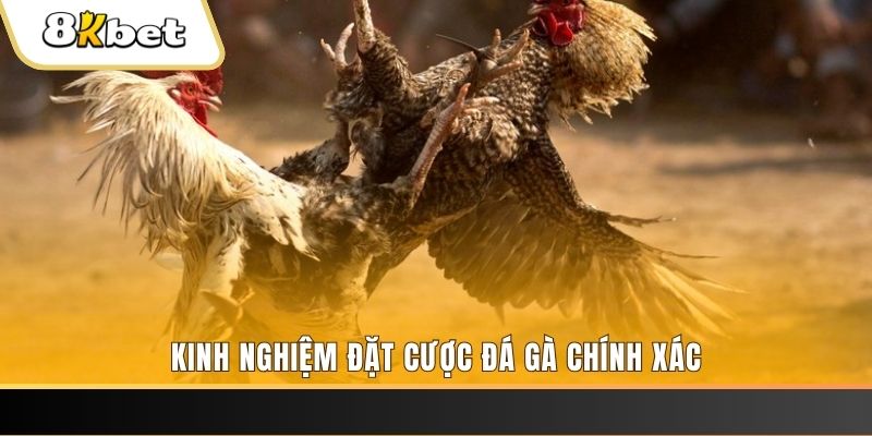 pg1 xổ số thứ bảy hàng tuần