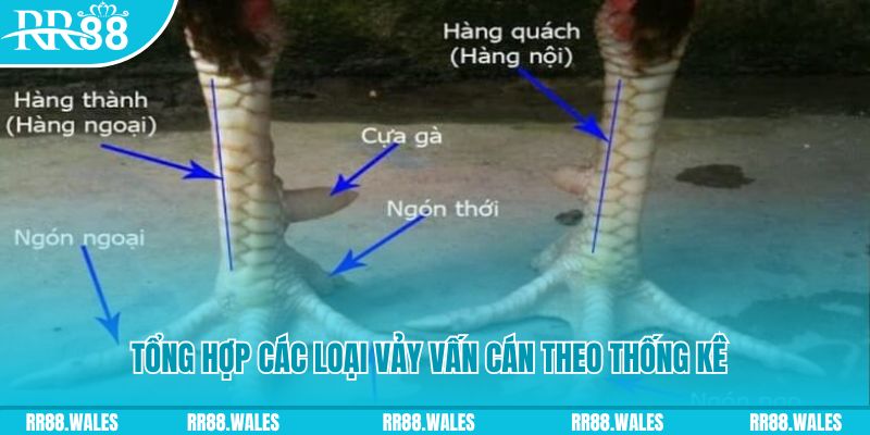 pg1 xổ số miền nam thứ sáu