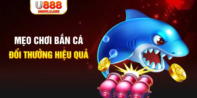 pg1 gà chọi cam ranh