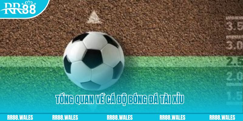 pg1 đăng nhập roulette online