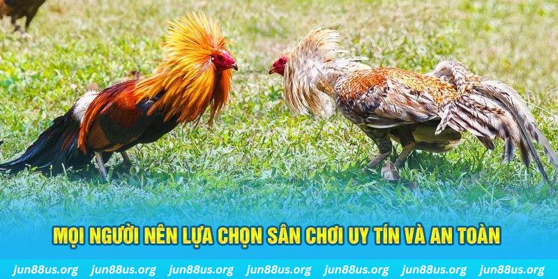 pg1 Cỡ bảy