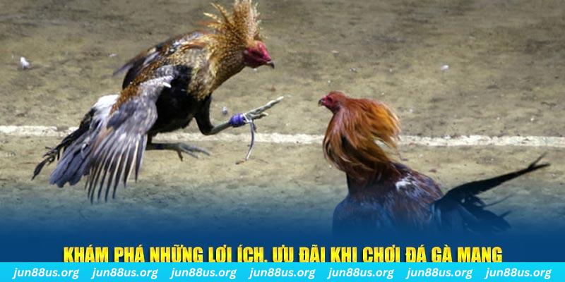 pg1 đăng nhập liêng live