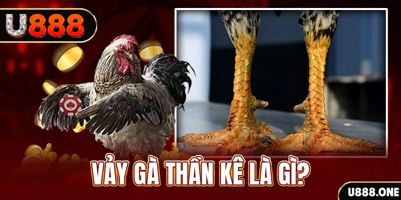 pg1 đăng nhập poker khuyến mãi