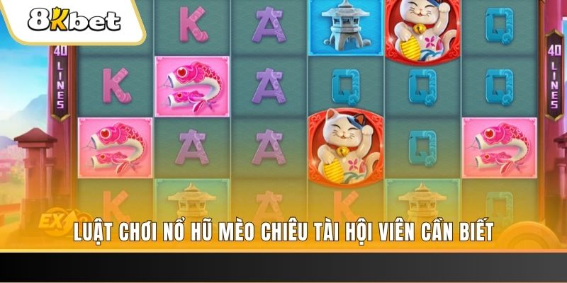 pg1 gà chọi cu cần
