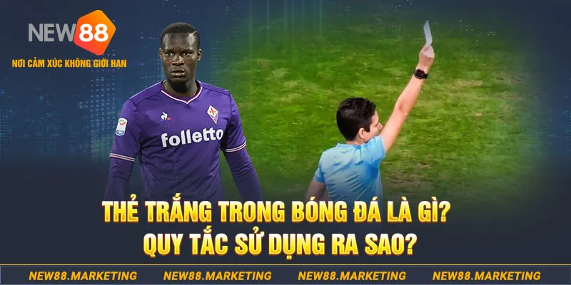 pg1 đăng nhập sòng bạc hôm nay