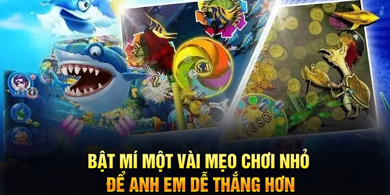 pg1 xổ số thứ ba